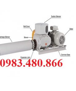 Máy thổi khí Tsurumi RSR2-50KS