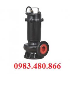 Máy bơm chìm trung Quốc 80MB22.2